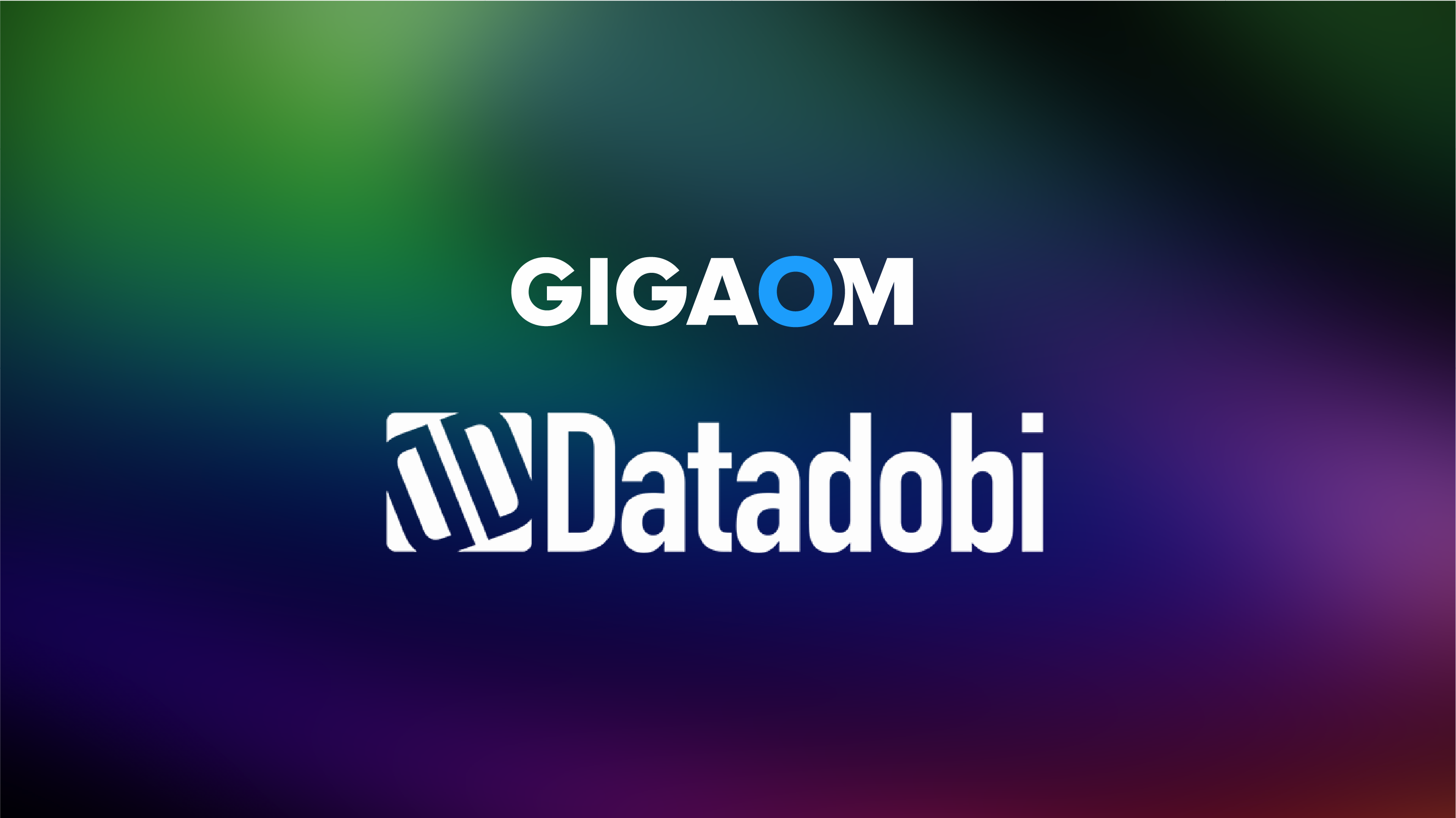 Datadobi case study
